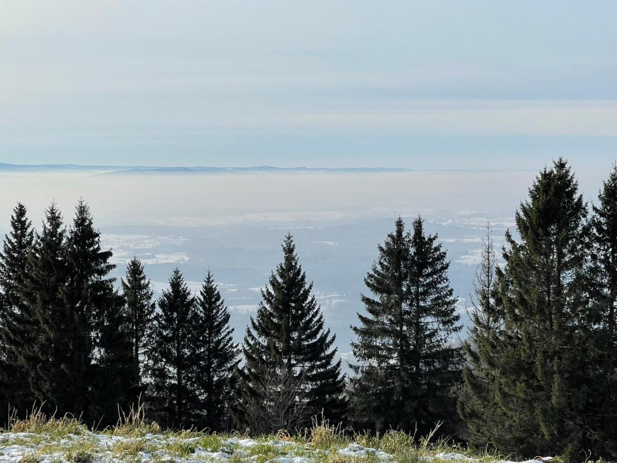 Blackforest Homestay Apartments Herrischried Exteriör bild